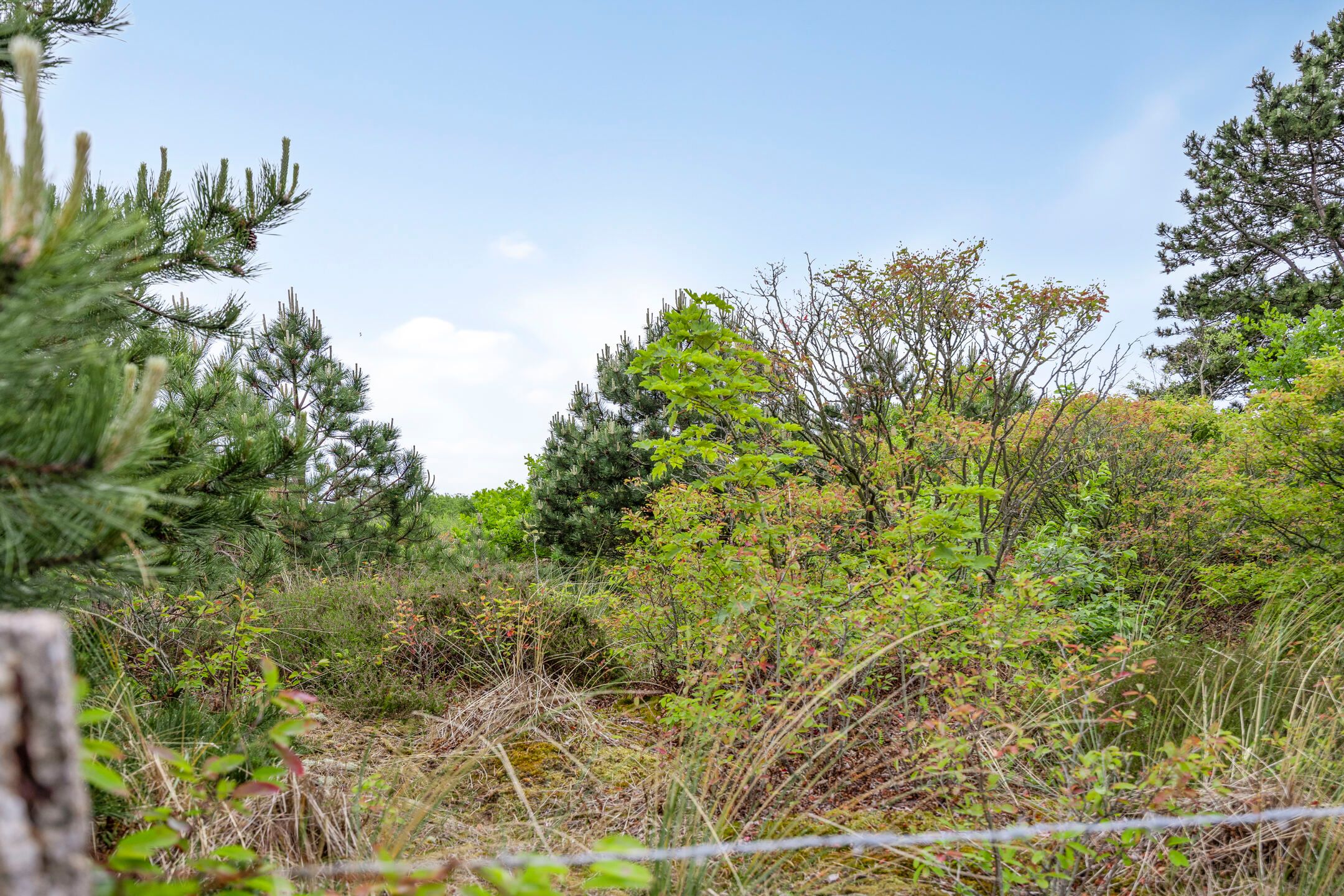 Foto 51 van Duinweg 24