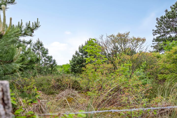 Foto 51 van Duinweg 24