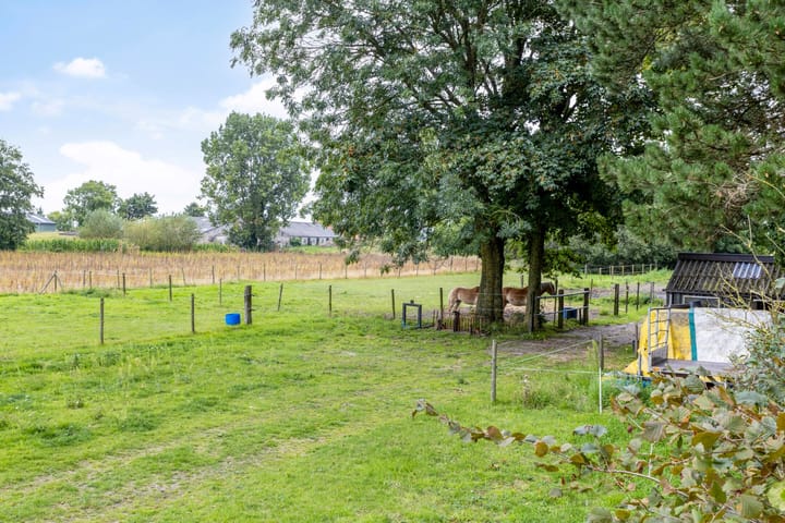 Photo 31 of Heirweg 6