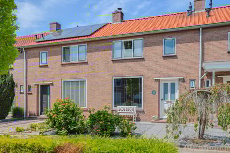 undefined main image