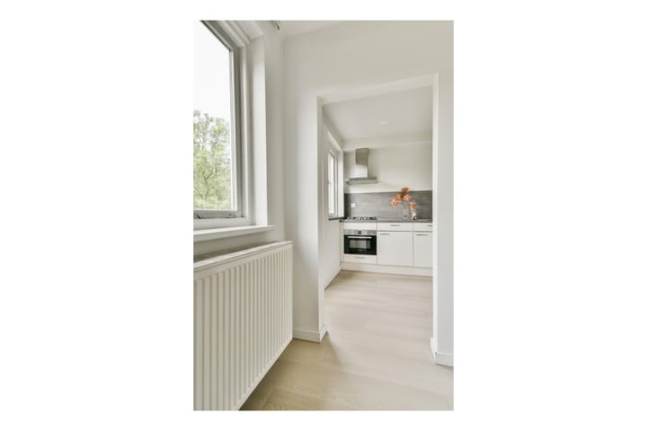 Foto 8 van Mr. Troelstralaan 44-A