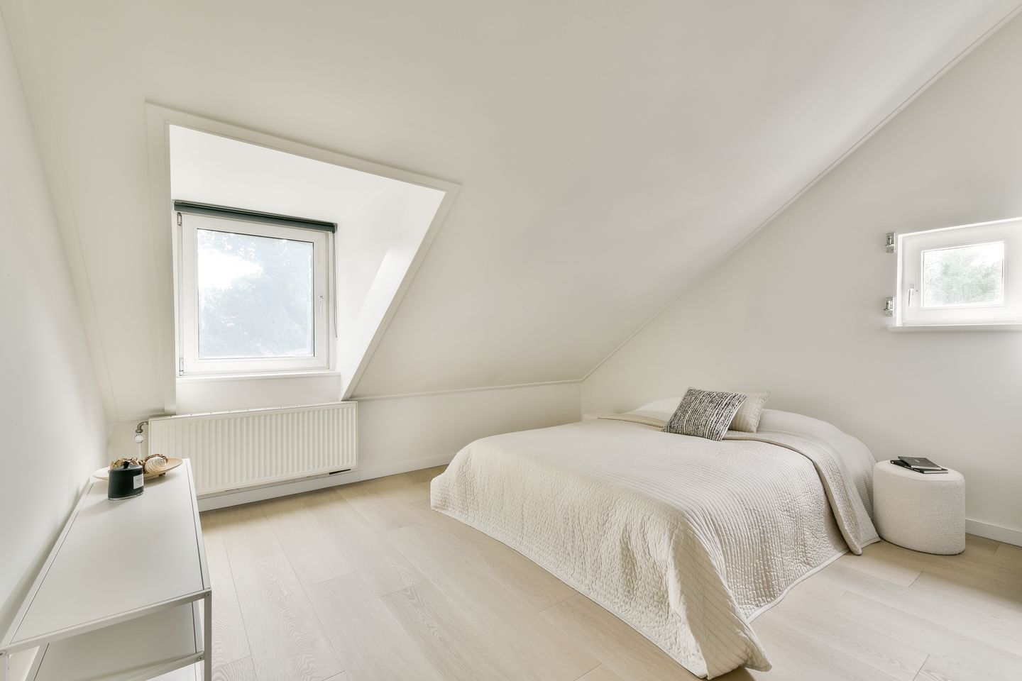 Foto 19 van Mr. Troelstralaan 44-A