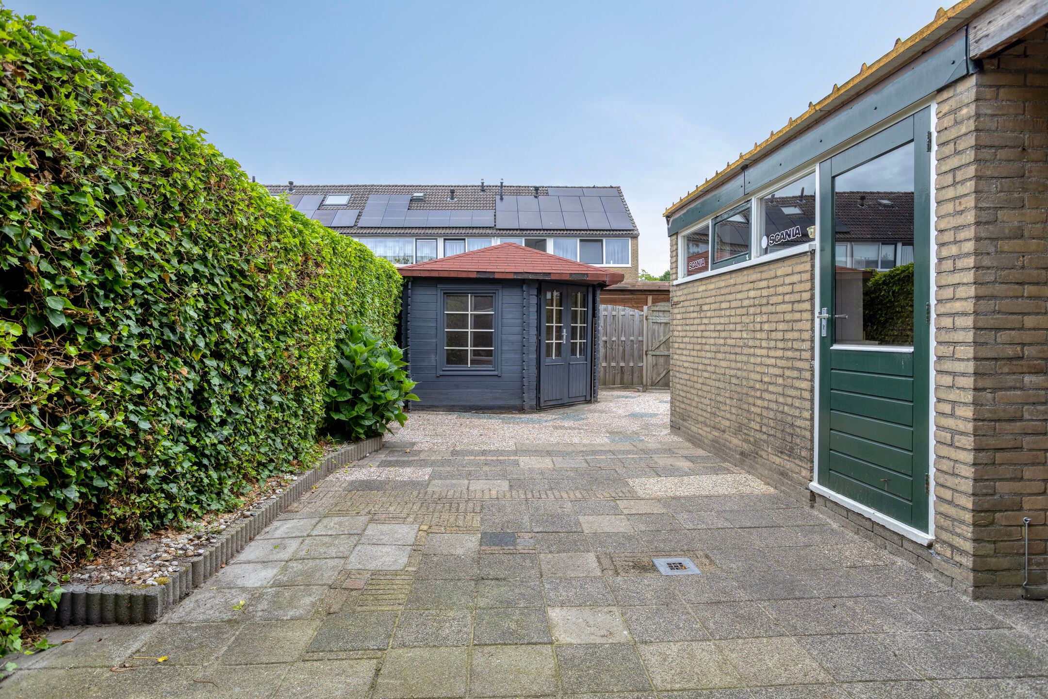 Foto 30 van Blauwgras 29