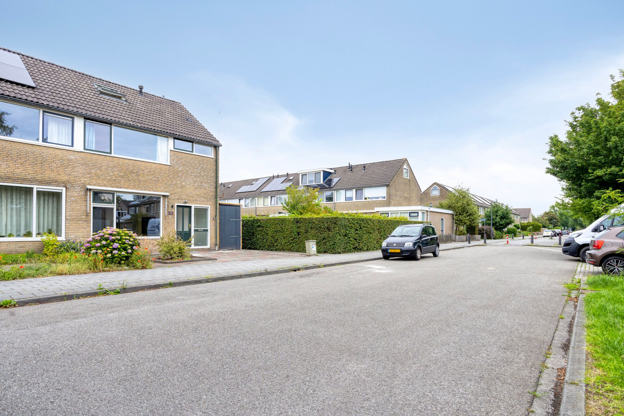 Foto 39 van Blauwgras 29