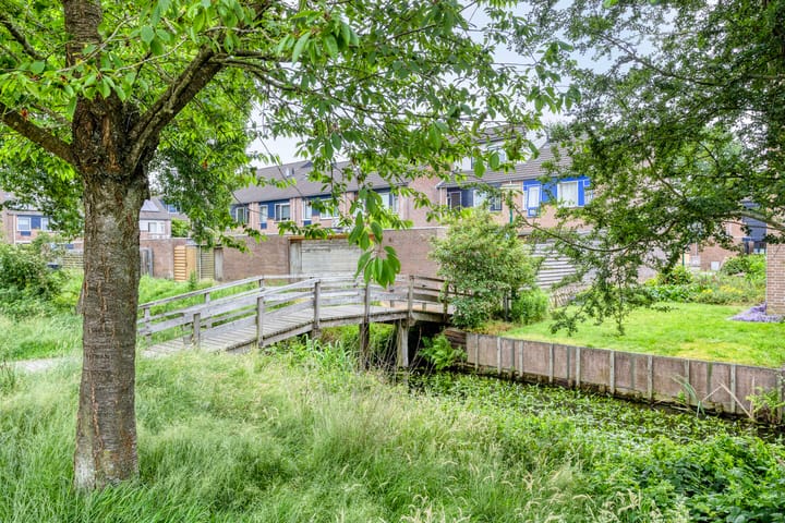 Foto 41 van Blauwgras 29