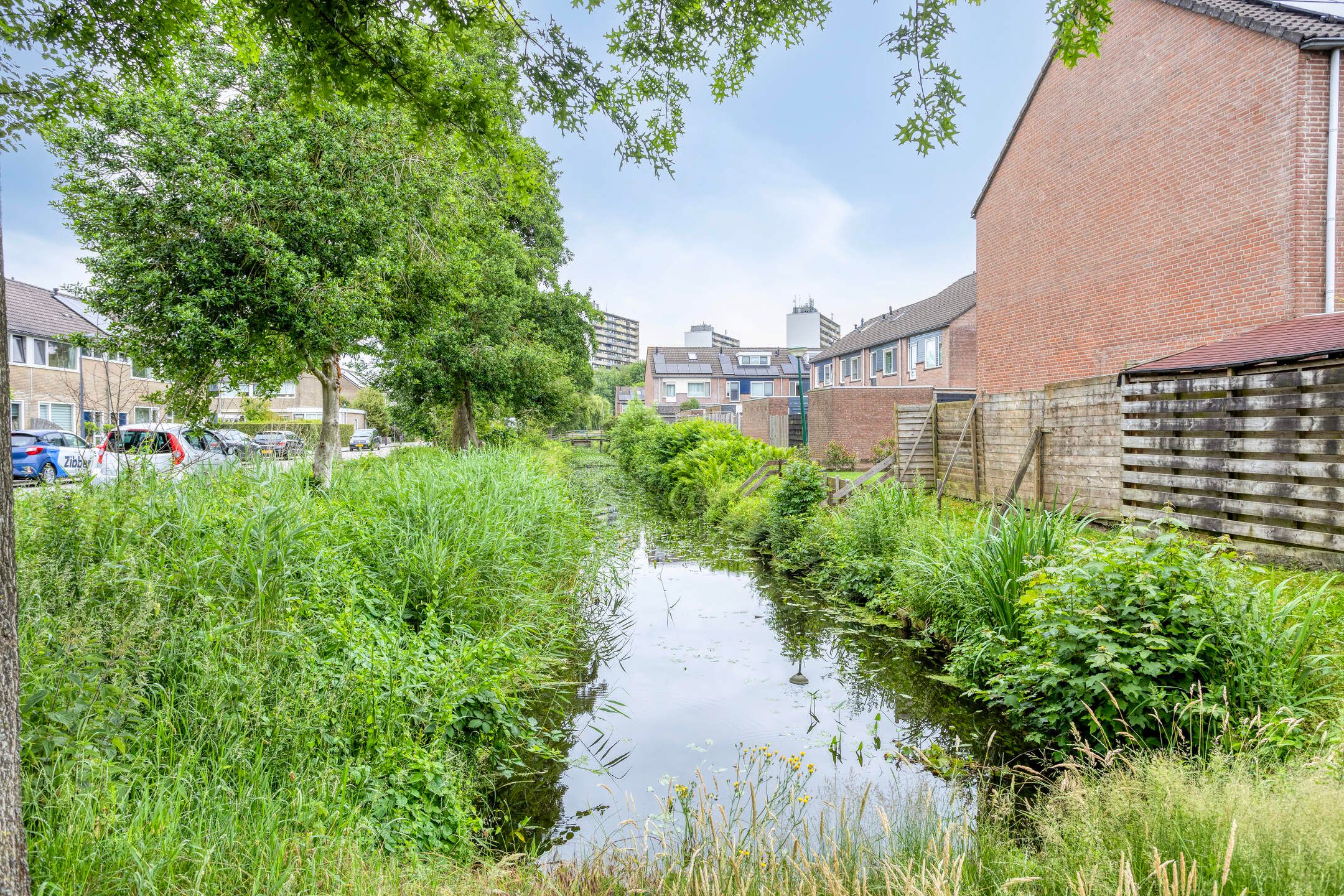 Foto 42 van Blauwgras 29