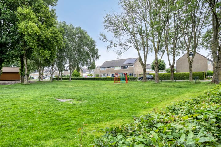 Foto 43 van Blauwgras 29