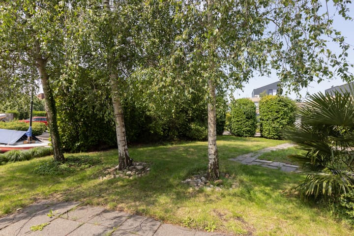 Foto 49 van Zomermeter 5