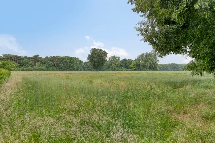 Foto 42 van Boekhorstlaan 14