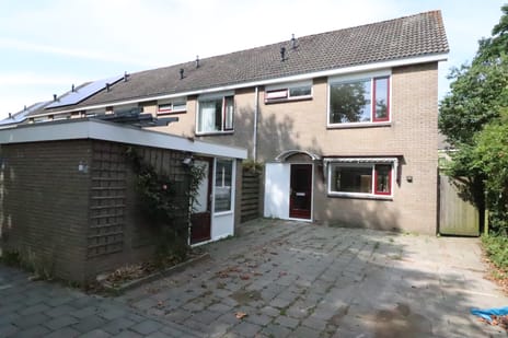 undefined main image