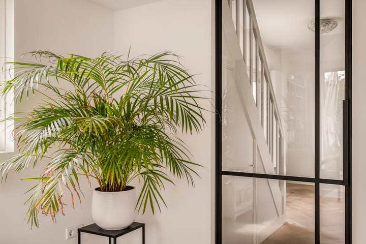 Foto 30 van Nellestein 22