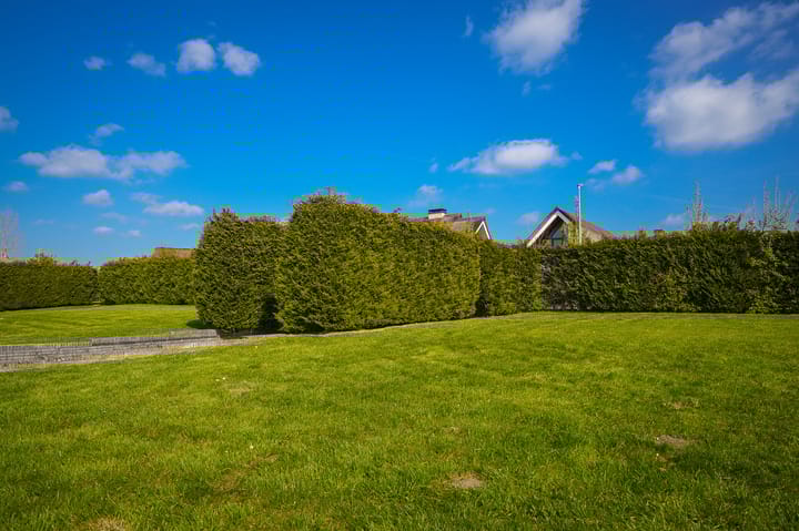 Foto 4 van Veense Put 24