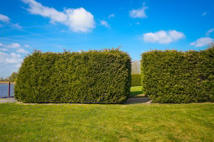 Foto 23 van Veense Put 24