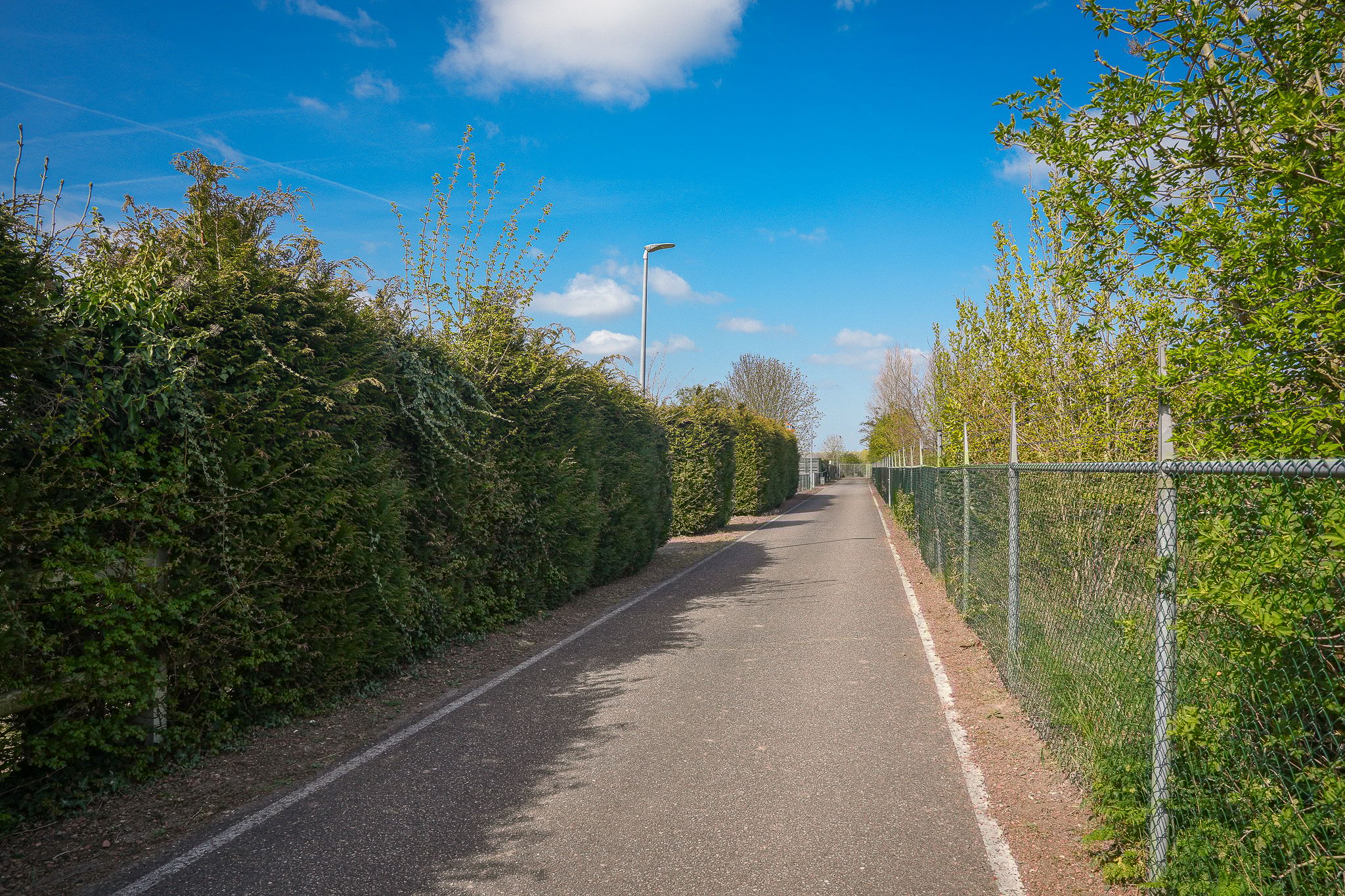 Foto 21 van Veense Put 26