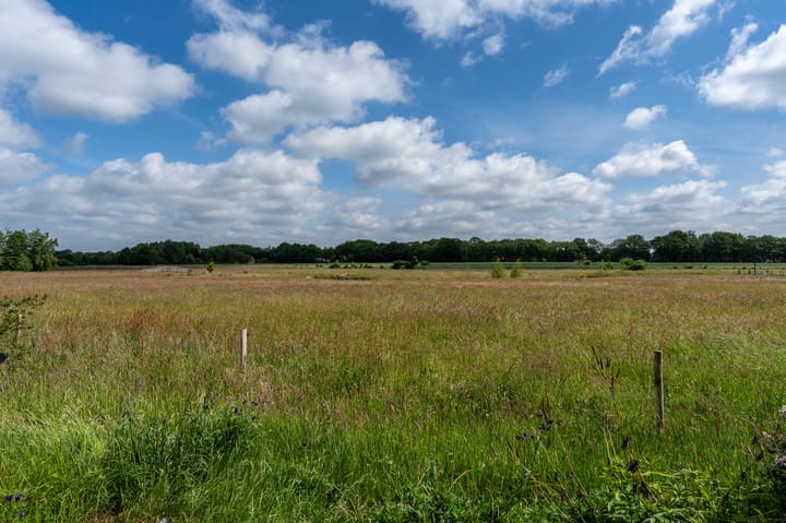 Foto 28 van Weenderstraat 26