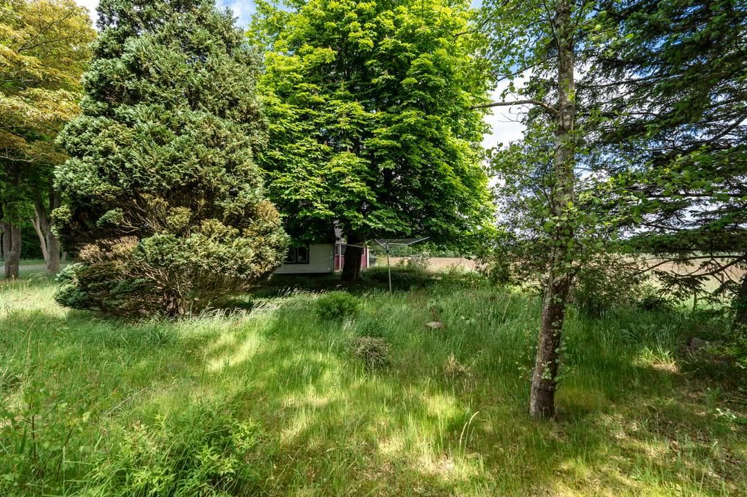 Foto 31 van Weenderstraat 26