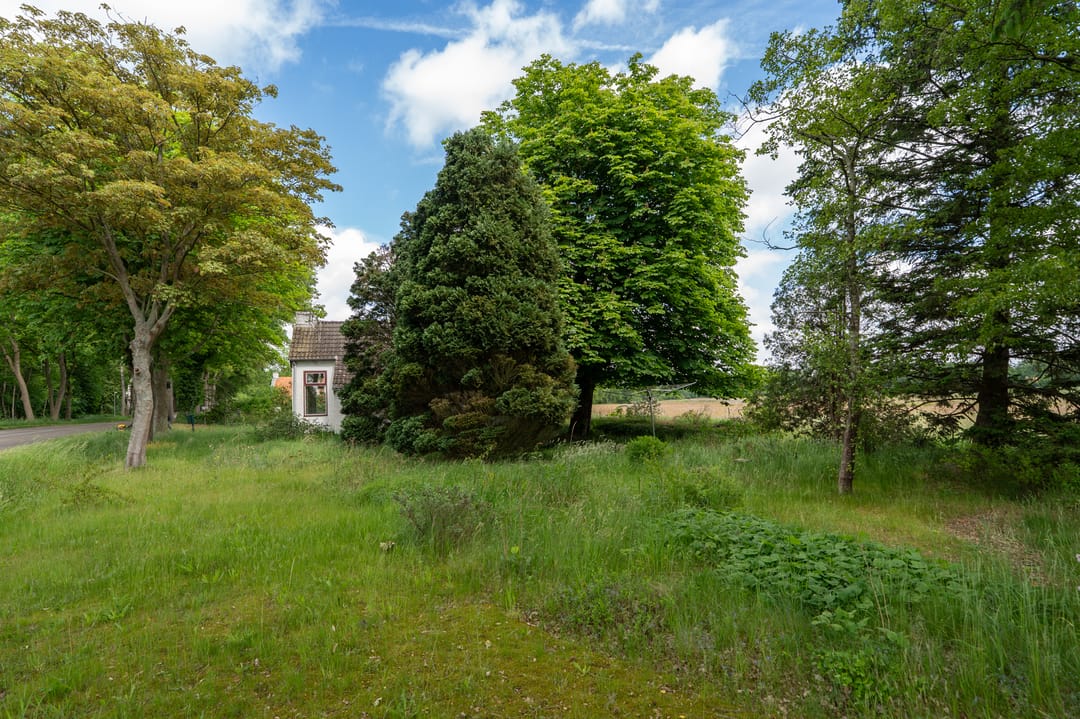 Foto 32 van Weenderstraat 26