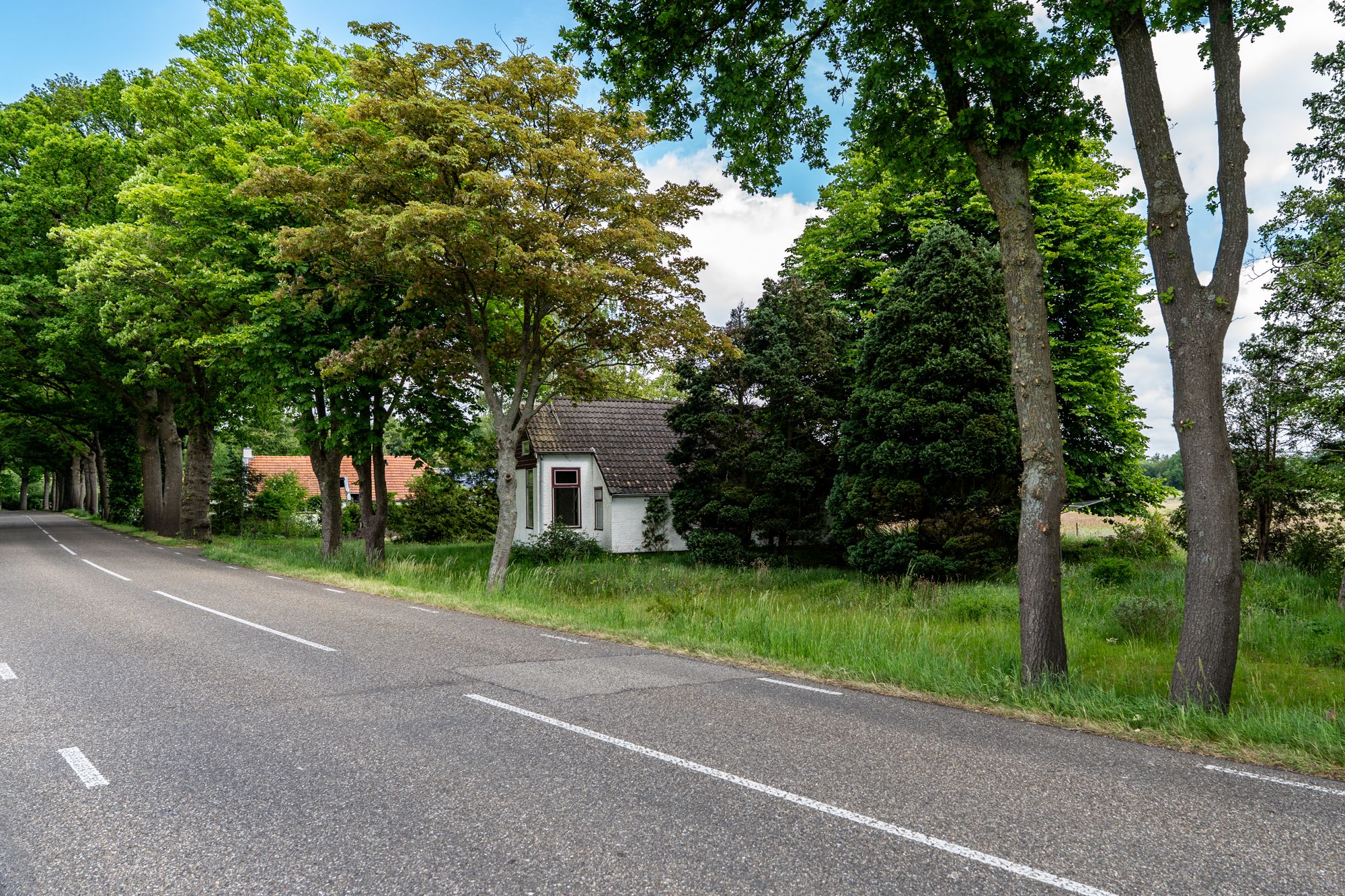 Foto 33 van Weenderstraat 26