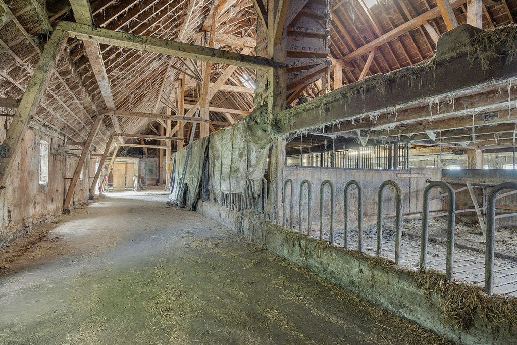 Photo 31 of Hoeksterpaed 15