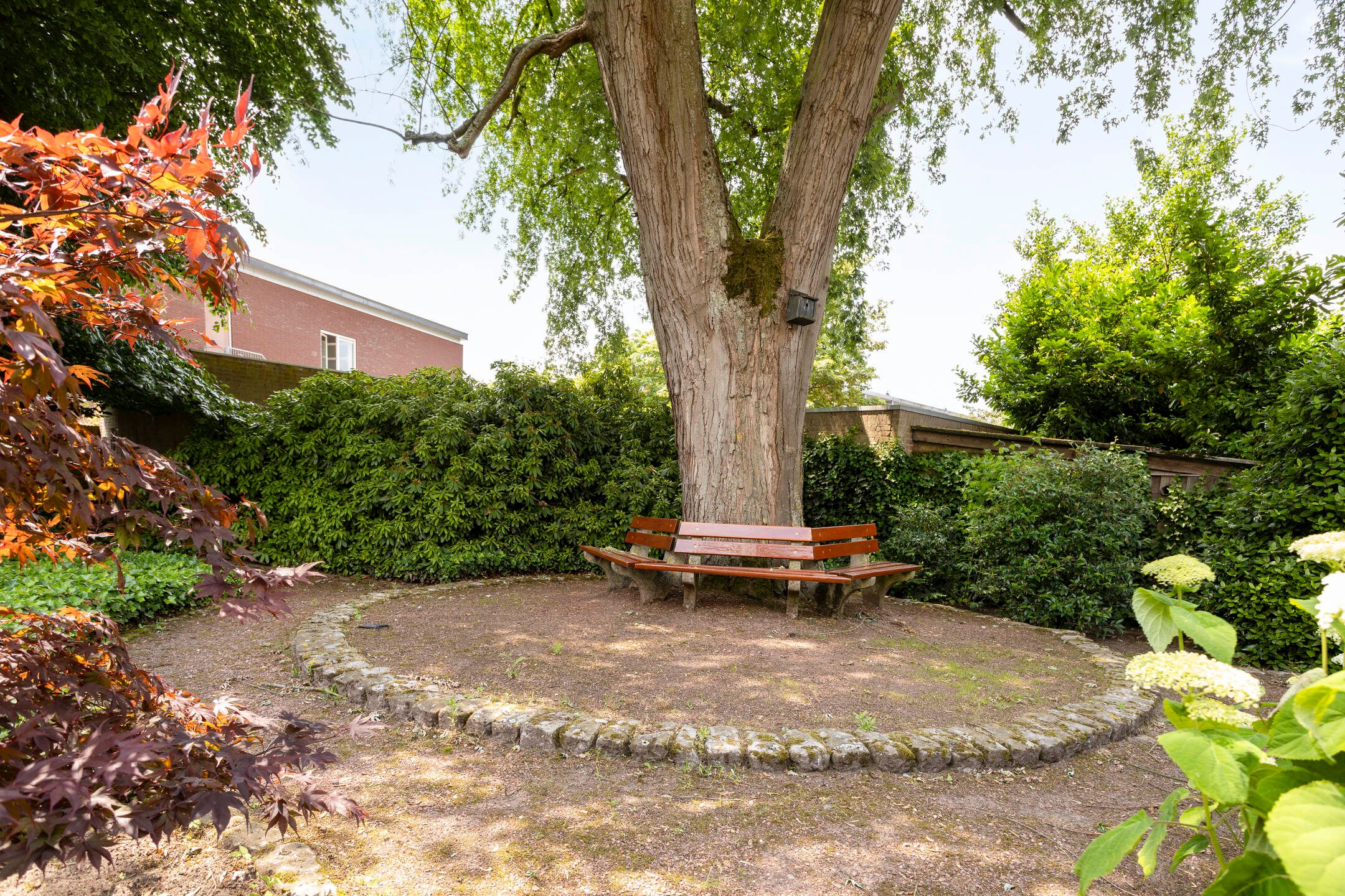 Foto 39 van Dommelseweg 37-A