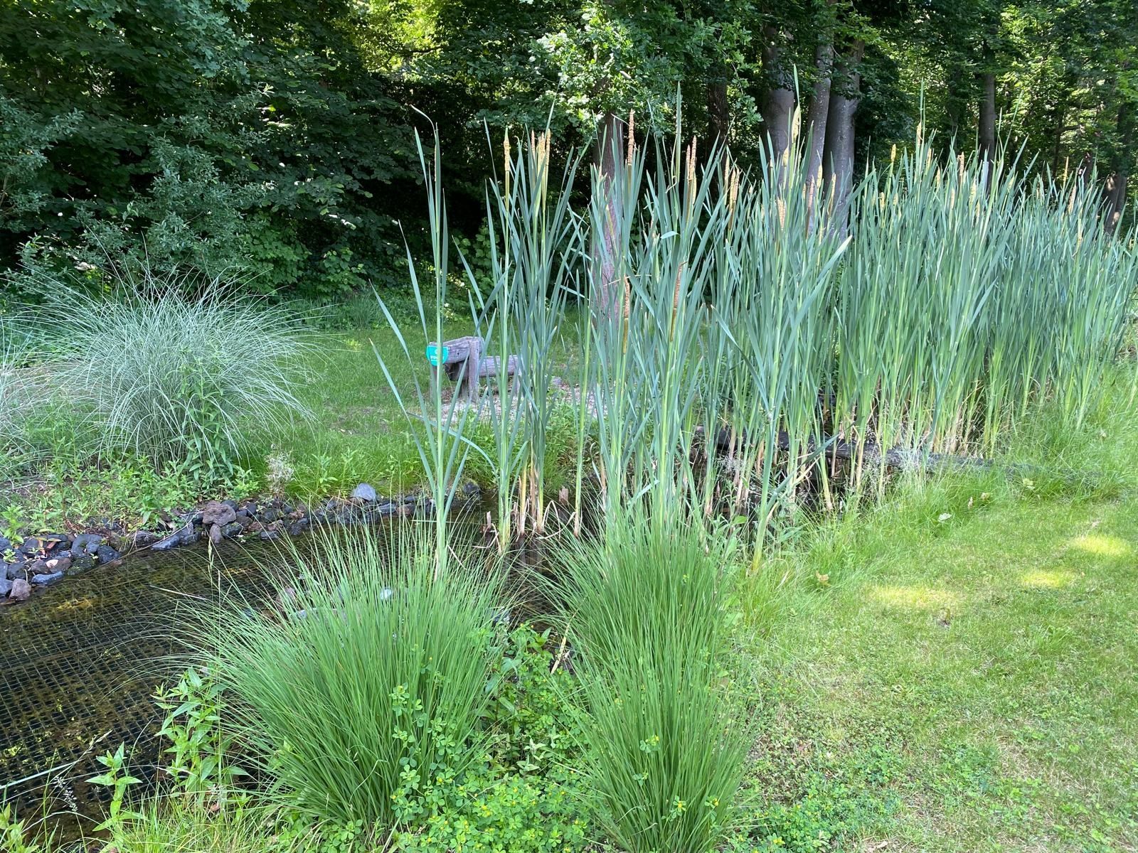 Foto 6 van Kuiltjesweg 44-120