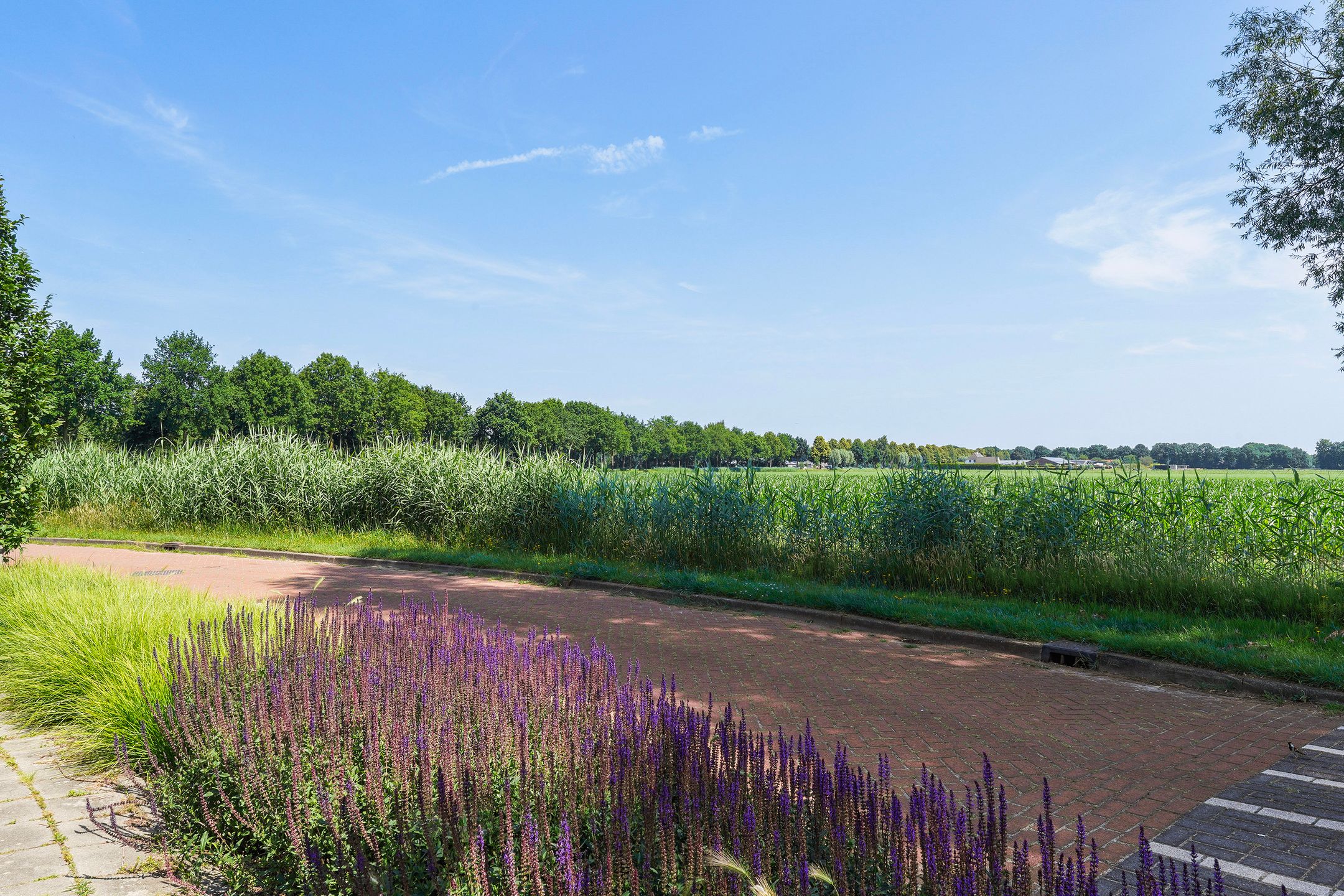 Foto 63 van Hermelijnhage 53