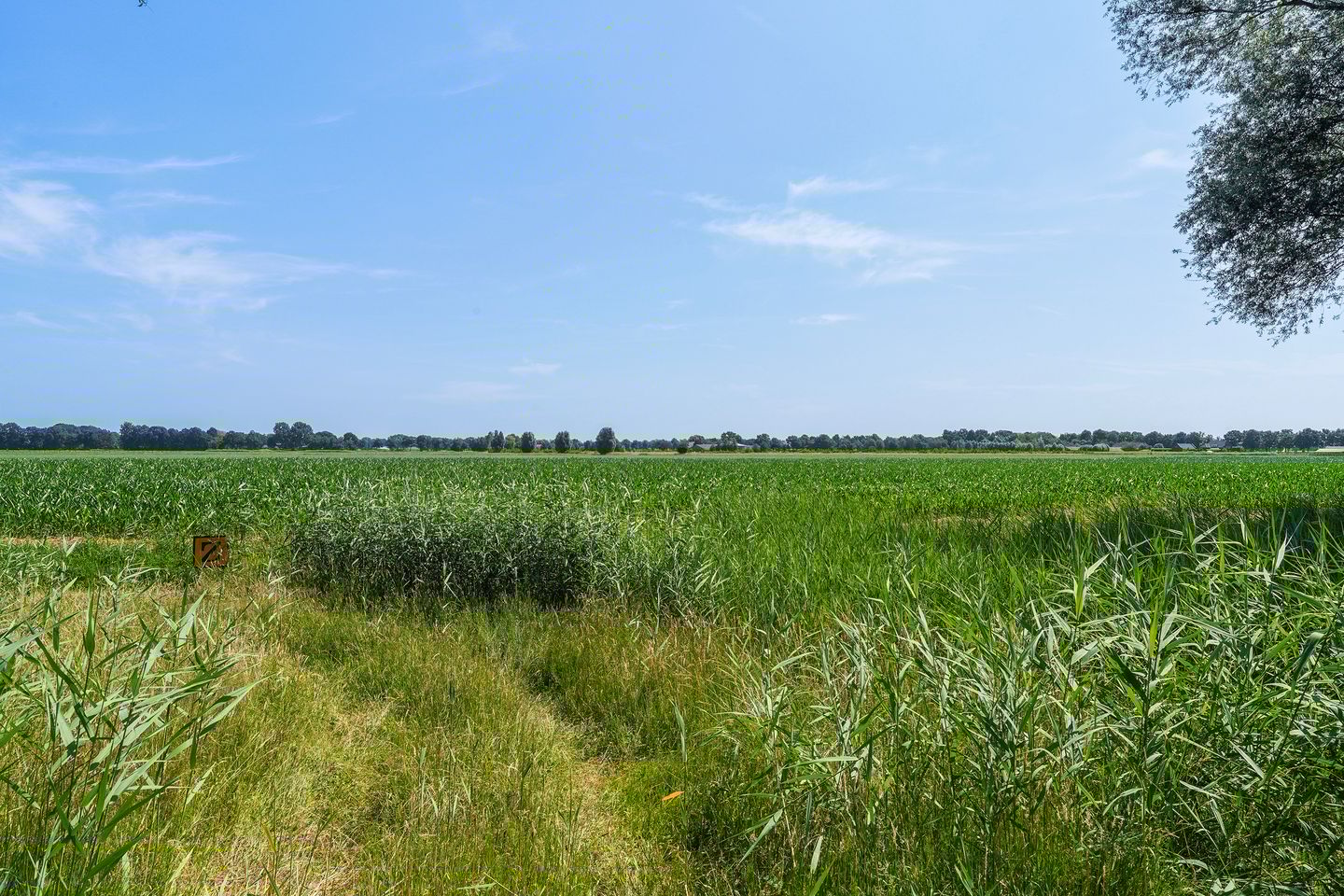 Foto 64 van Hermelijnhage 53