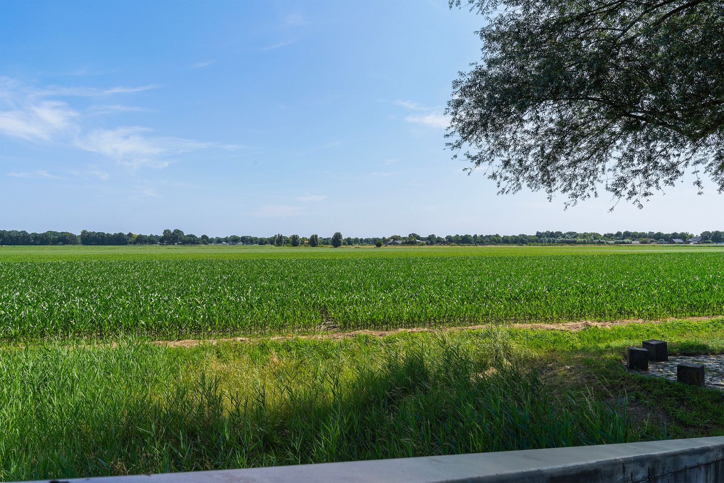 Foto 65 van Hermelijnhage 53