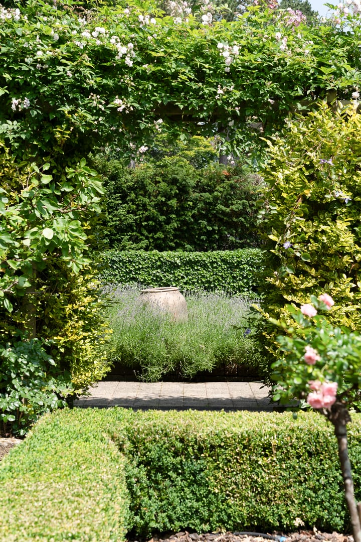 Foto 22 van Klingelaan 20