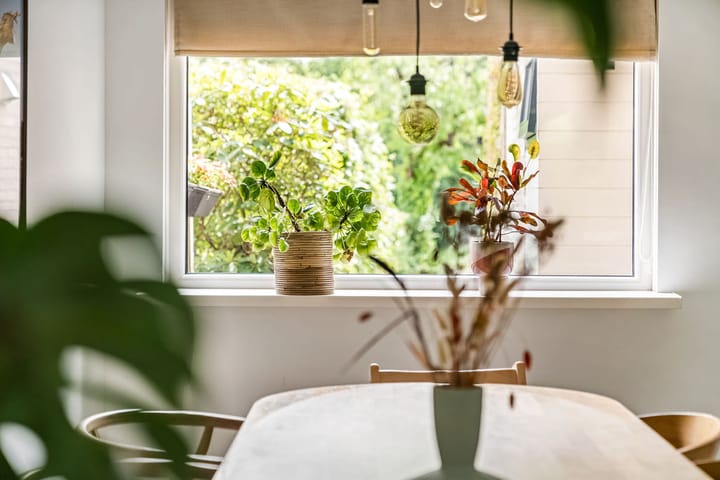 Photo 8 of Krooneend 15