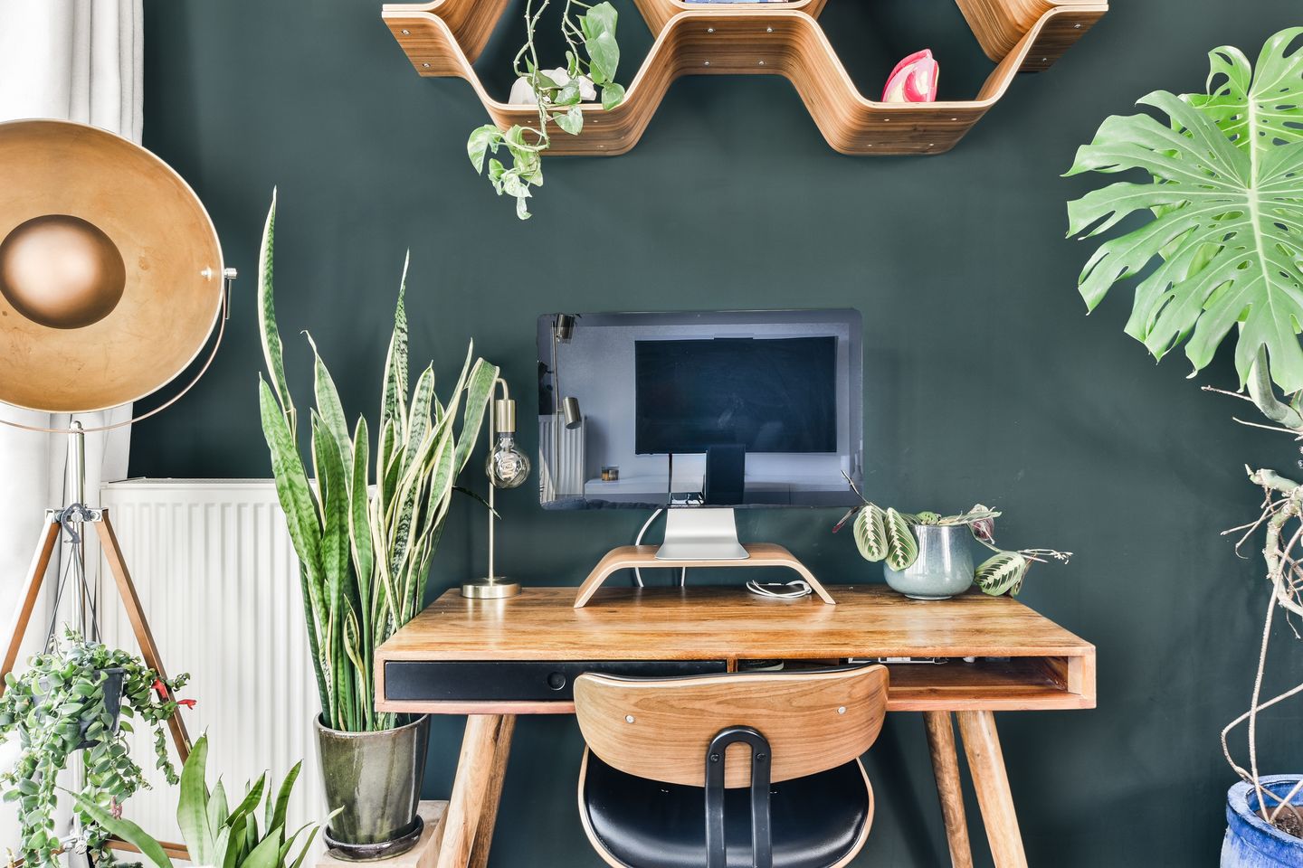 Foto 4 van Luzacstraat 1-4