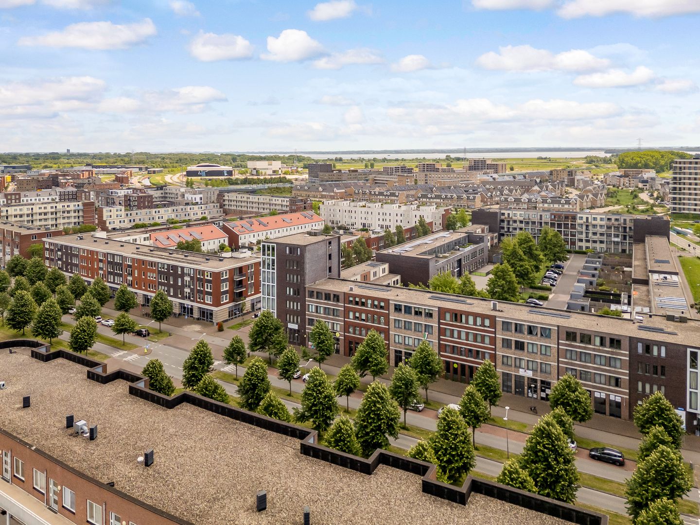 Foto 50 van Denemarkenstraat 52