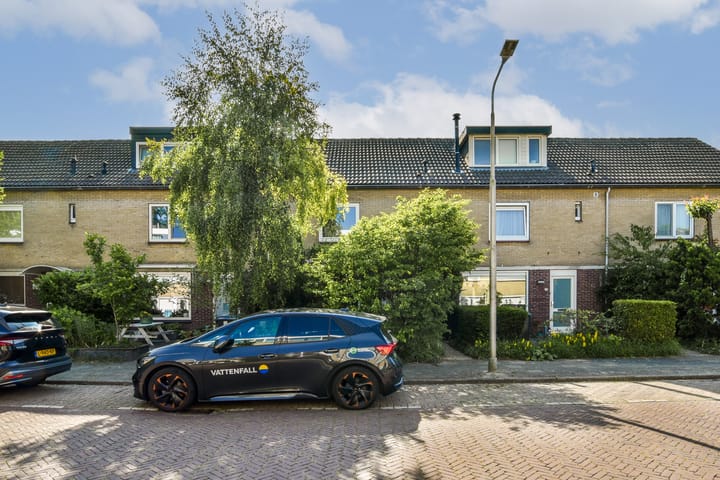 undefined main image
