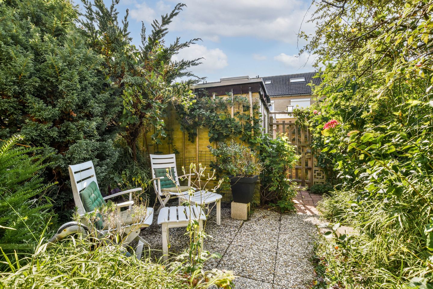 Photo 10 of Alpen Rondweg 37