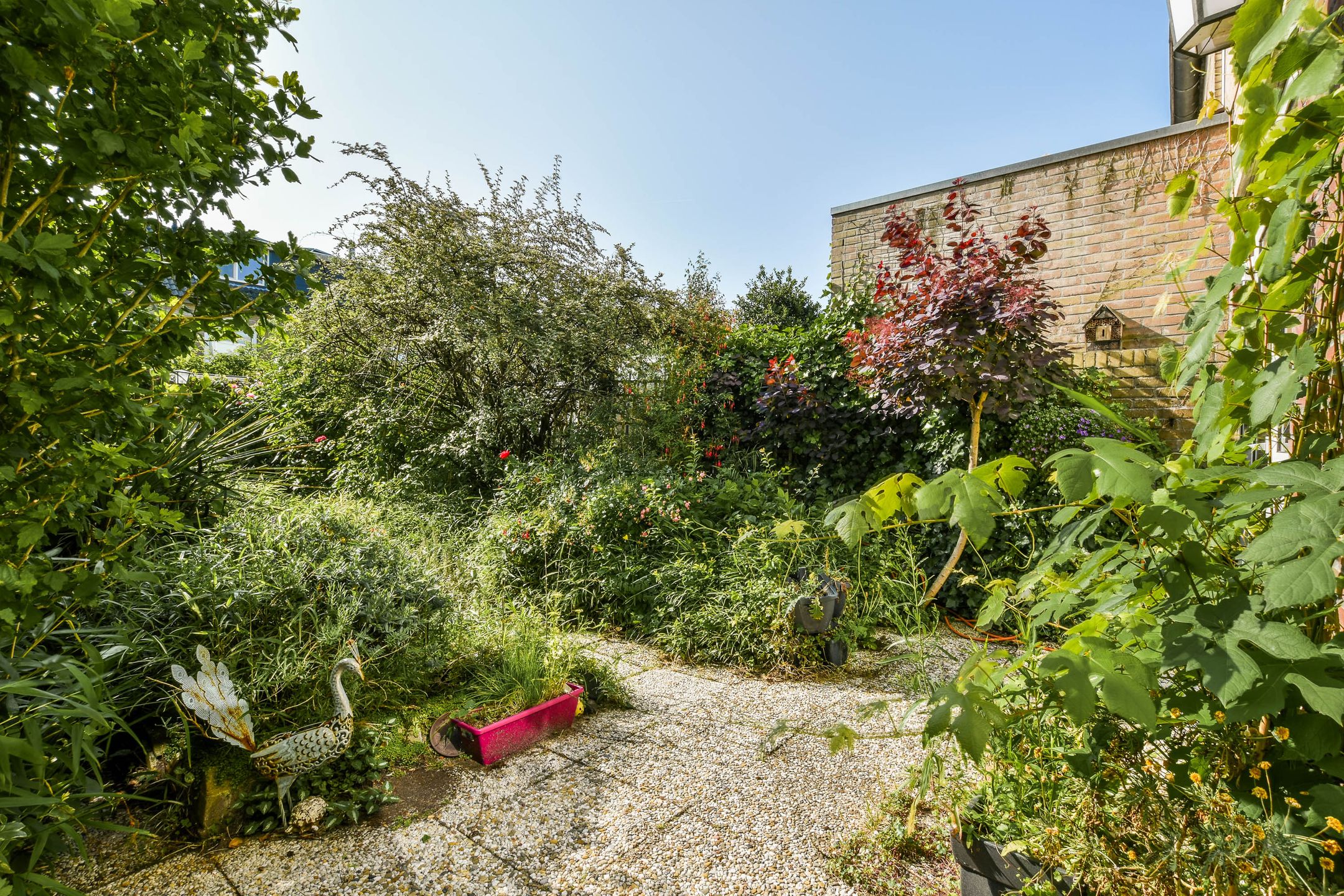 Photo 9 of Alpen Rondweg 37