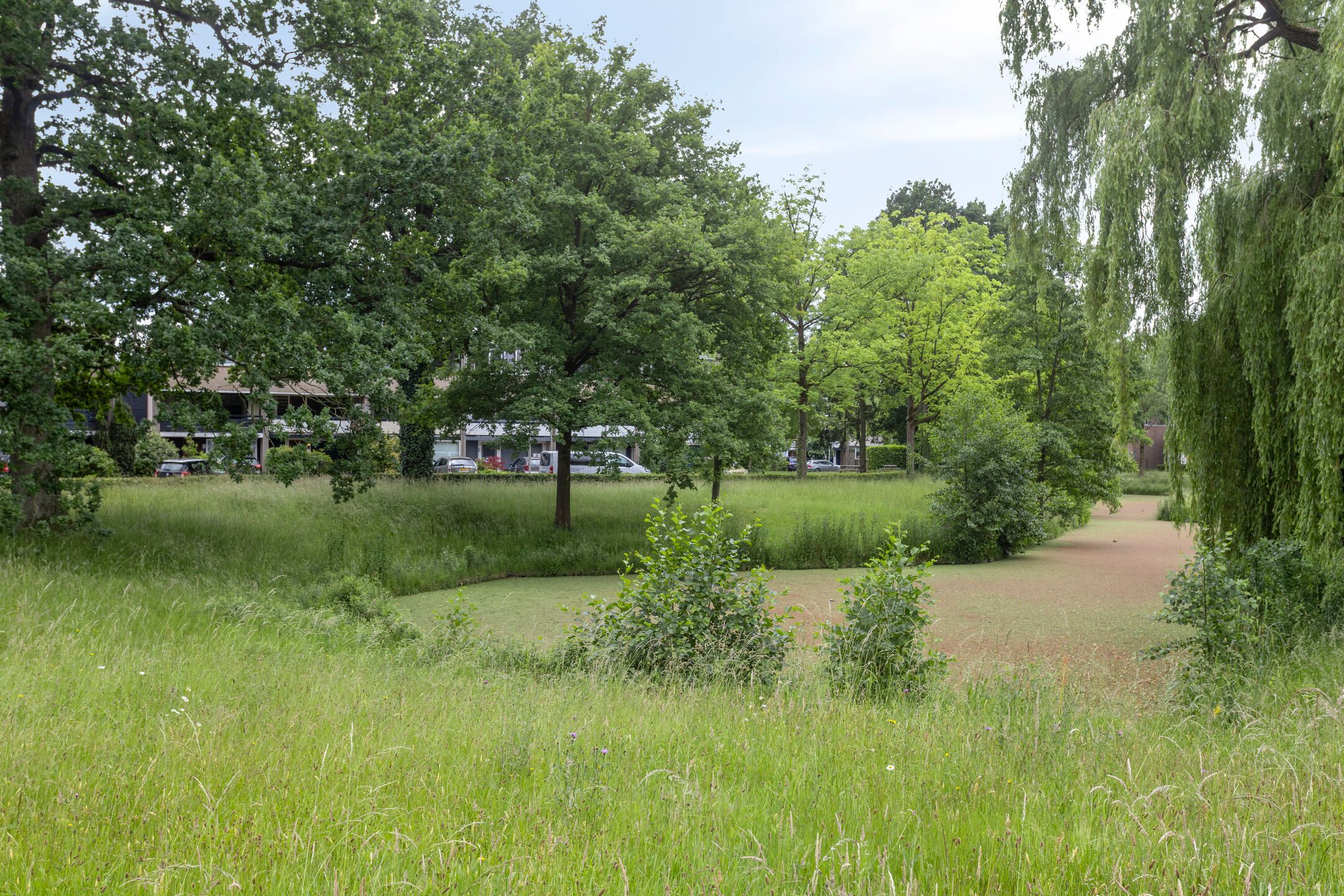 Foto 3 van Tolhuis 2110