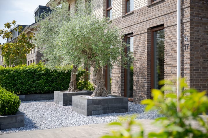 Foto 12 van Polderlaan 17