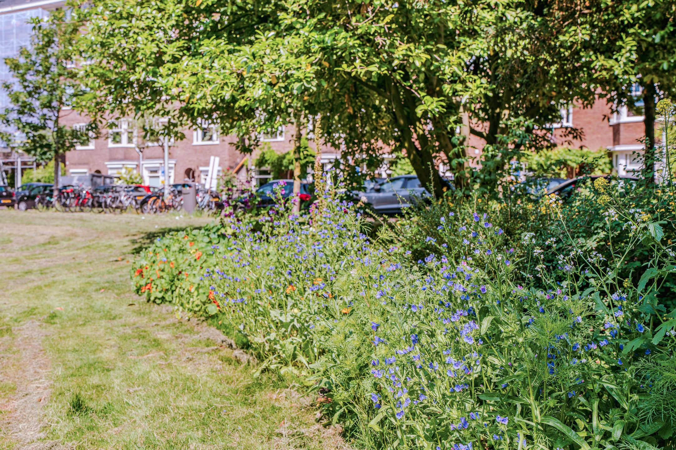 Foto 36 van Lekstraat 66-2