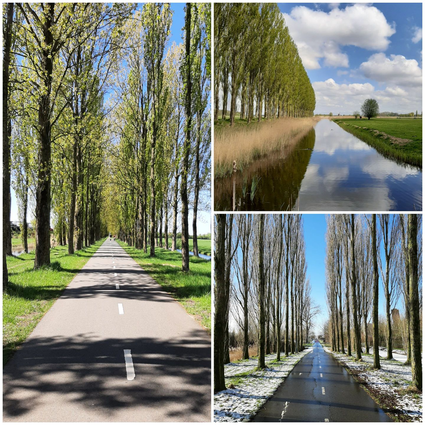 Foto 50 van Waterland 1