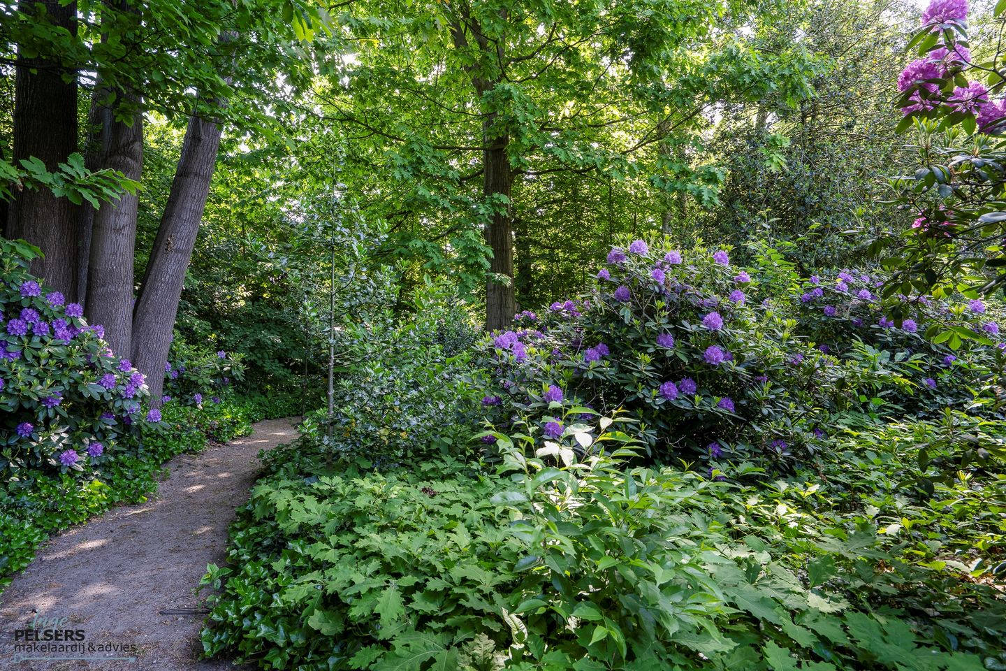 Foto 49 van Beekstraat 28