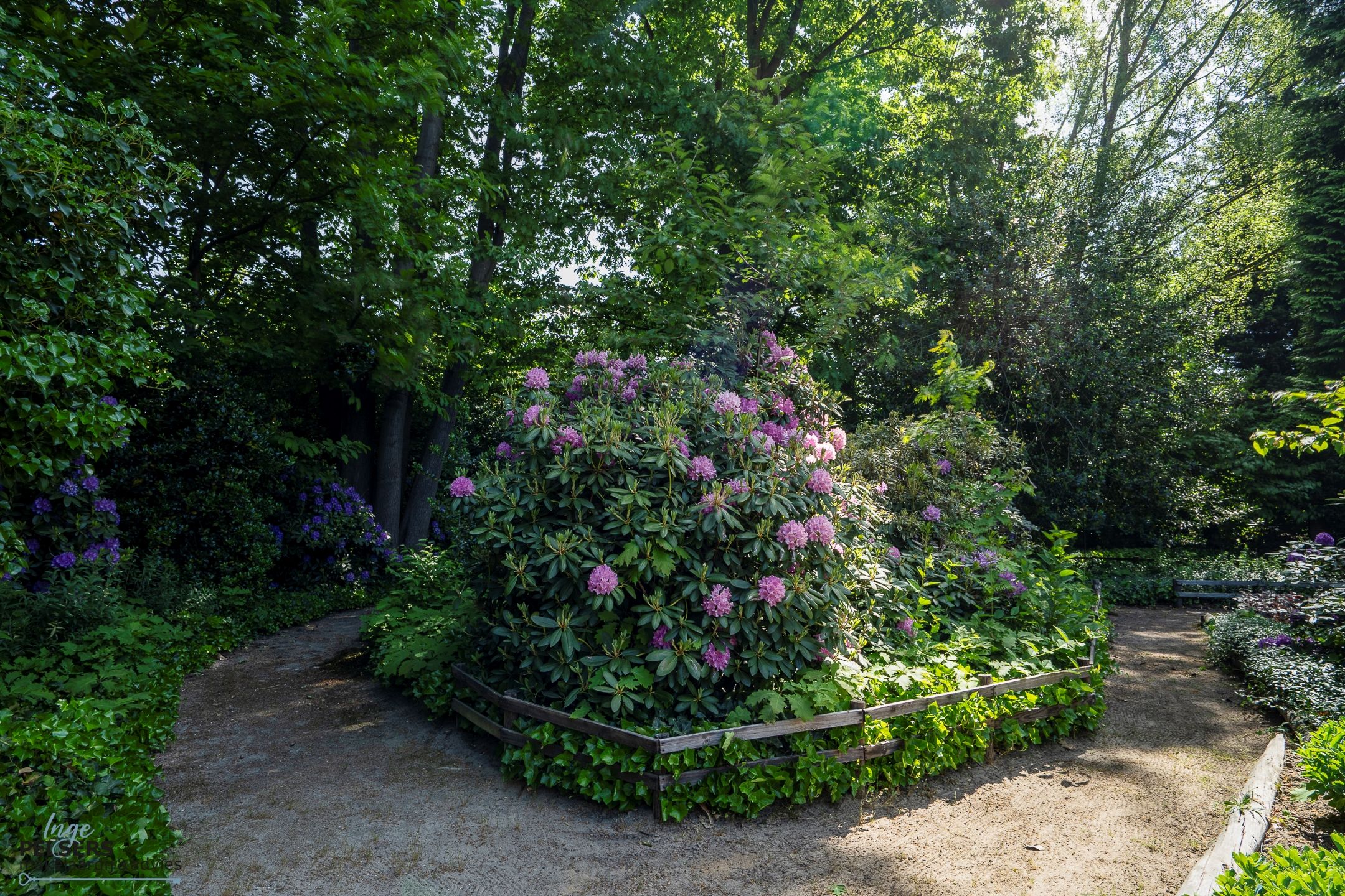 Foto 51 van Beekstraat 28