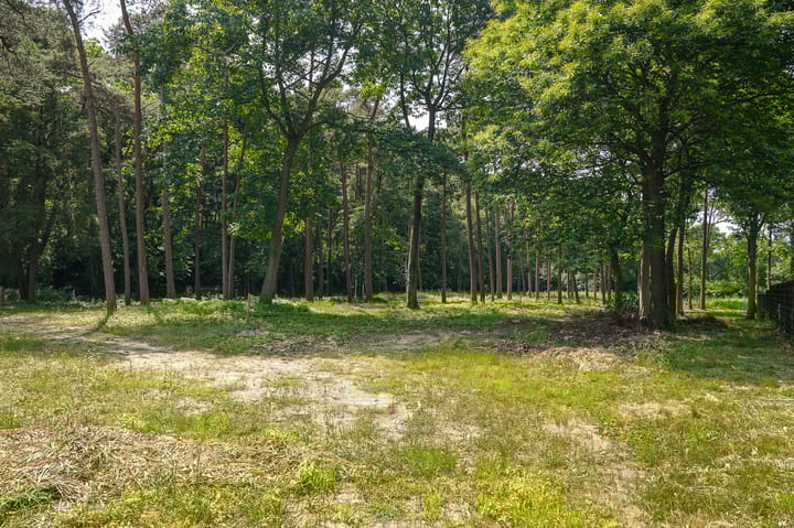 Foto 9 van Jagersboschlaan