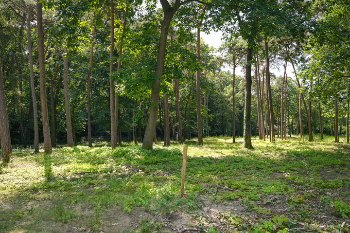 Foto 11 van Jagersboschlaan