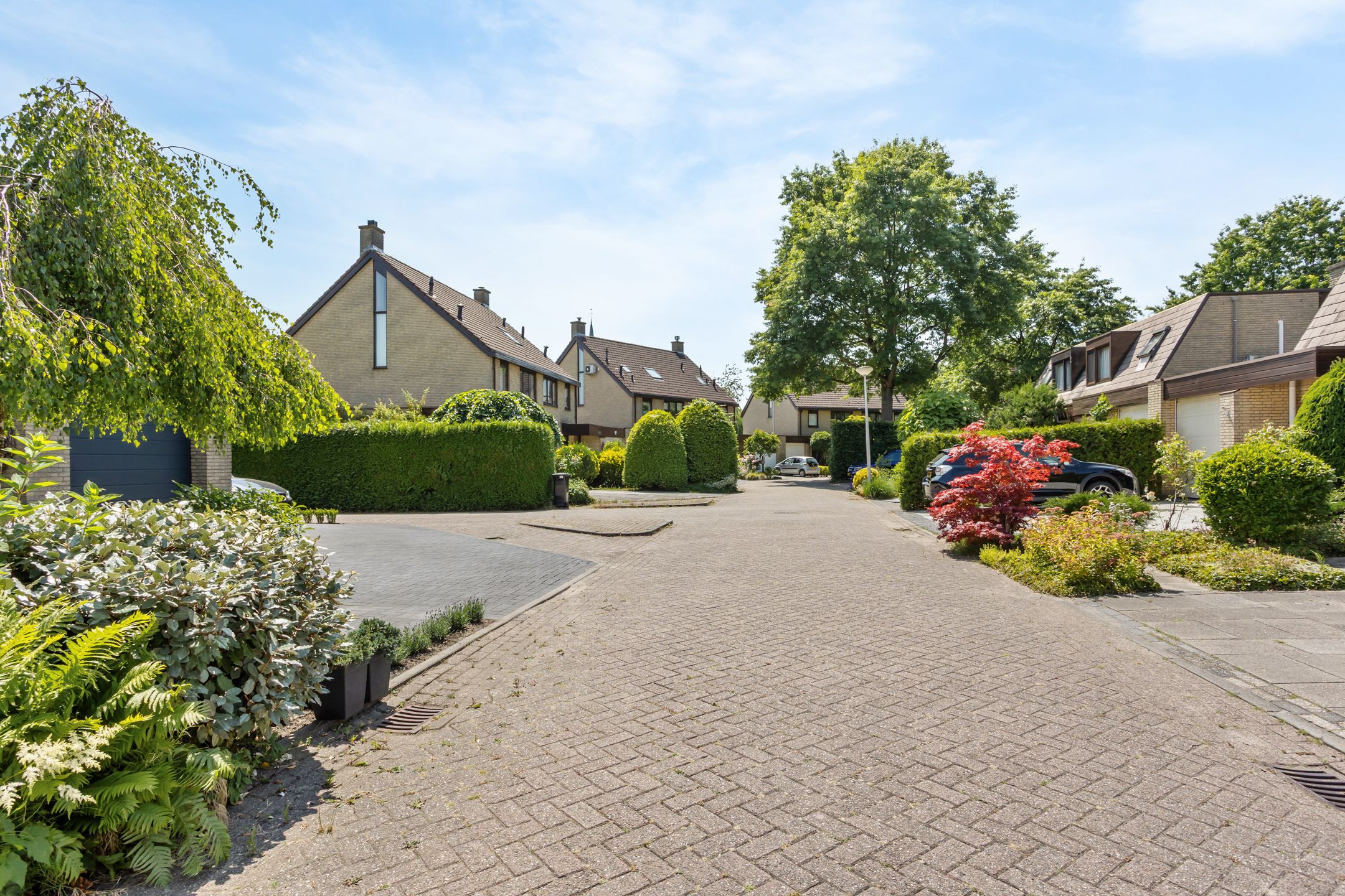 Foto 33 van Parkmos 7