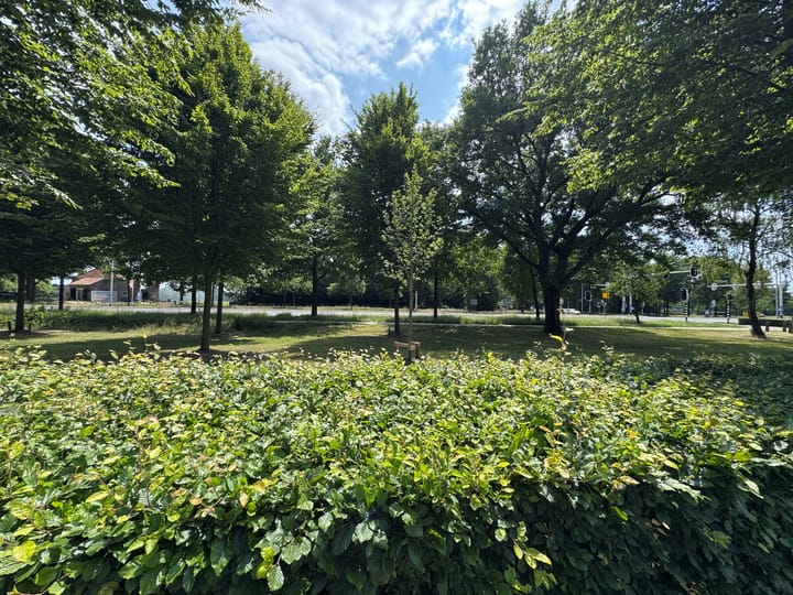 Foto 5 van Boskant 7