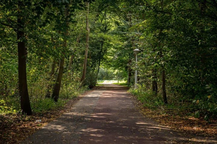 Foto 25 van Orteliusstraat 310-1