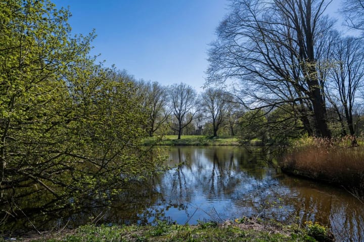 Foto 27 van Orteliusstraat 310-1