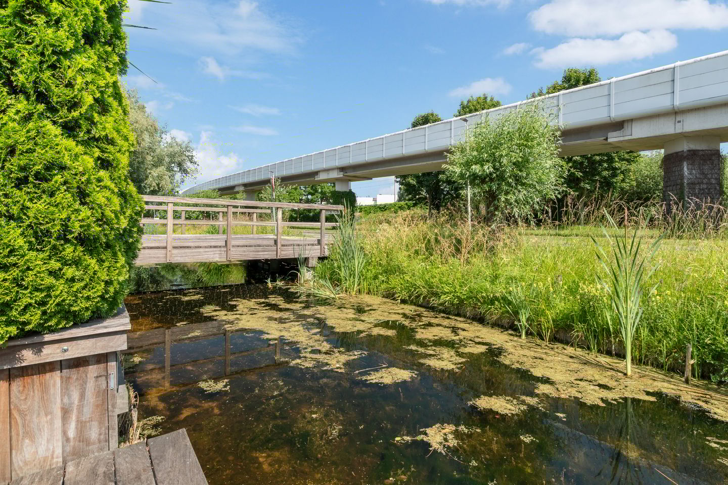 Foto 49 van Lilian Ngoyiweg 176