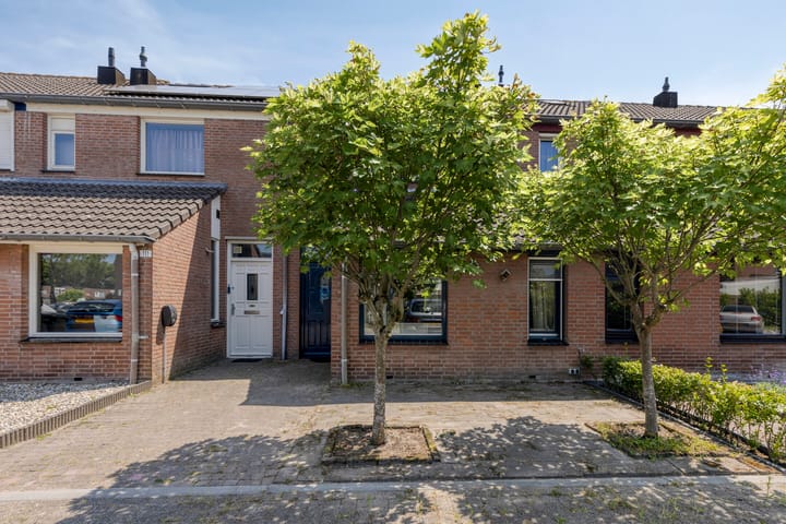 Foto 2 van Ambrozijnberg 113