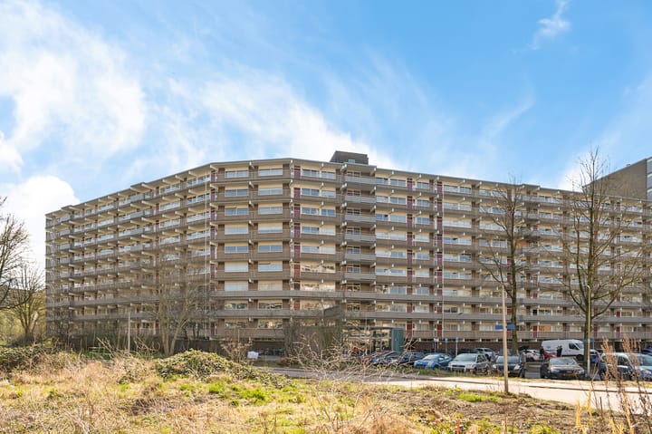 Foto 8 van Jonkerbos 44